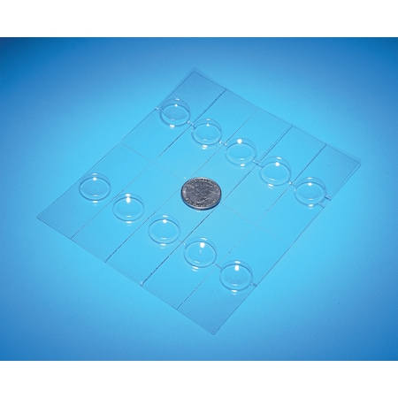 United Scientific Plastic Well Slides, Sheet Of 10 Slides CSPL10